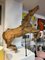 Carousel Horse, 19th Century 8