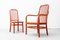 Bauhaus Seating Group by Adolf Gustav Schneck for Gebrüder Thonet Vienna Gmbh, 1930s, Set of 7 25