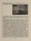 Poltrone antiche, 1910, set di 2, Immagine 39