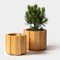 Kugge41 Flower Pot in Pine by Dahlén Lukas 4