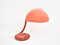 Serpente Table Lamp attributed to Elio Martinelli for Martinelli Luce, 1960s, Image 9