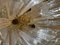 Murano Glass Chandelier with Gilt Gold Structure attributed to Venini, Italy, 1980, Image 7