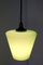 Green Glass Hanging Lamp, 1960s 9