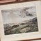 Charles Turner, English Hare Hunting Scenes with Greyhounds, 1890, Watercolor Prints, Set of 4 5