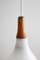 Small Mid-Century Opal Glass Pendant, 1960s 5