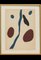 Jean Arp, Composición abstracta, Litografía original, 1949, Imagen 1