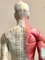 Brazos desmontables de acupuntura Anatomía del hombre, 1965, Imagen 8
