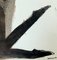 Jolanta Johnsson, Anhelo, Técnica mixta sobre papel, 1997, Imagen 4