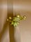 Casenove Spiegel aus goldenem Metall 5