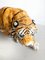 Crouching Tiger Statue, 1970s, Image 4