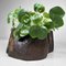 Vintage Kiri Maki-E Hibachi Fire Bowl, 1960s 16
