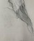 Antoni Janusz Pastwa, Desnudo, 1992, Dibujo en técnica mixta, Imagen 5