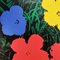 Después de Andy Warhol, Flowers, Litografía de edición limitada, años 80, Imagen 5
