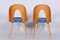 Art Deco Dining Chairs in Ash & Upholstery attributed to Antonín Šuman, Czech, 1940s, Set of 5 2