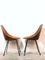 Set of Plywood Dining Chairs attributed to Vittorio Nobili for Fratelli Tagliabue, Italy, 1950s 12