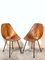 Set of Plywood Dining Chairs attributed to Vittorio Nobili for Fratelli Tagliabue, Italy, 1950s 1