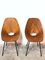 Set of Plywood Dining Chairs attributed to Vittorio Nobili for Fratelli Tagliabue, Italy, 1950s 7