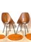 Set of Plywood Dining Chairs attributed to Vittorio Nobili for Fratelli Tagliabue, Italy, 1950s 3