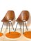 Set of Plywood Dining Chairs attributed to Vittorio Nobili for Fratelli Tagliabue, Italy, 1950s 2