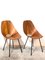 Set of Plywood Dining Chairs attributed to Vittorio Nobili for Fratelli Tagliabue, Italy, 1950s 14