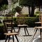 French Farmhouse Chairs, 1830s, Set of 5 2