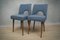 Blaue Polnische Schalen Stühle, 1960er, 2er Set 1
