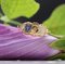 French Enameled 18 Karat Yellow Gold Faith Ring 3