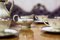 Vintage Krautheim Selb-Bavaria Coffee Service, 1950s, Set of 19 7