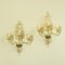 Wall Sconces in Murano Glass by Archimede Seguso for Seguso, 1940, Set of 2 1