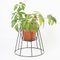 Petits Supports pour Plante Cibele Noirs par OK Design, Set de 3 2