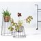 Petits Supports pour Plante Cibele Noirs par OK Design, Set de 3 3