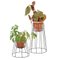 Petits Supports pour Plante Cibele Noirs par OK Design, Set de 3 5
