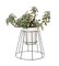 Petits Supports pour Plante Cibele Noirs par OK Design, Set de 3 4