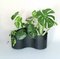 Crescendo Plant Holder by Isao Hosoe for Bilumen, 1970s 5