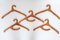 Cintres Anthroposophiques en Bois, Set de 5 1