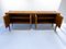 Italienisches Midcentury Sideboard von Pierluigi Colli, 1950er 17