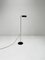 Camera Terra Floor Lamp by Ernesto Gismondi for Artemide, Italy, 1980s 4