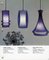 Heliotrope Pendent Lamp by Jo Hammerborg for Fog & Mørup, 1960s 9