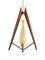 Mid-Century Ceiling Lamp in Teak and Opaline Glass, 1960s 1