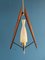 Mid-Century Ceiling Lamp in Teak and Opaline Glass, 1960s 5
