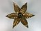 Florentine Brass Floral Wall Sconce by Willy Daro for Massive Lighting, 1970s 6