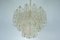Mid-Century Cortex Murano Glass Chandelier by Toni Zuccheri for Venini, 1960s 11