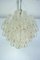 Mid-Century Cortex Murano Glass Chandelier by Toni Zuccheri for Venini, 1960s 5