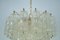 Mid-Century Cortex Murano Glass Chandelier by Toni Zuccheri for Venini, 1960s 3