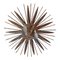Mid-Century Wandlampe aus Messing 5