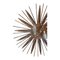 Mid-Century Wandlampe aus Messing 2