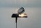 Faltbare italienische Vintage Sintesi Terra Stehlampe von Ernesto Gismondi für Artemide, 1970er 28