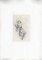 Auguste Rodin, Grupo con Francesca Da Rimini, 1897, Grabado y papel, Imagen 3