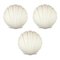 Shell-Shaped Opaline Glass Wall Light/Sconce from Limburg, Germany, 1970s 1