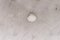 Ceiling Light Star Ice from Kalmar, 1970s 7